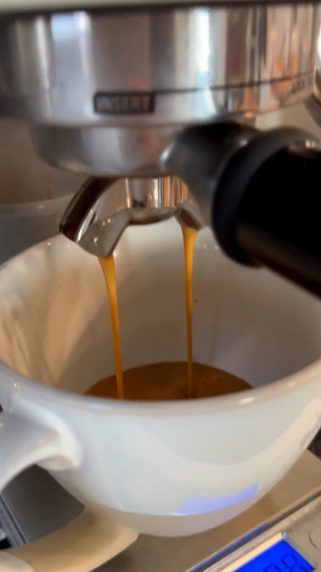 The best Breville Barista Touch Espresso Machine is $200 off now. 


Williams-Sonoma sale, breville coffee machine , breville espresso maker, breville espresso machine, breville sale, espresso, coffee maker #LTKFamily

#LTKSeasonal #LTKHome #LTKSaleAlert