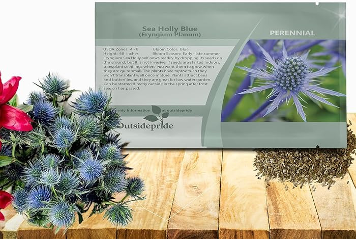 Outsidepride Silver Blue Sea Holly Seeds for Planting - 5000 Pcs Perennial Drought-Tolerant Eryng... | Amazon (US)