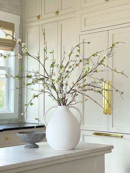Afloral $25 off w/ $125 purchase.  

Faux stems, spring stems, spring branches, faux flowers, white vase, kitchen decor 

#LTKSaleAlert #LTKHome #LTKSeasonal