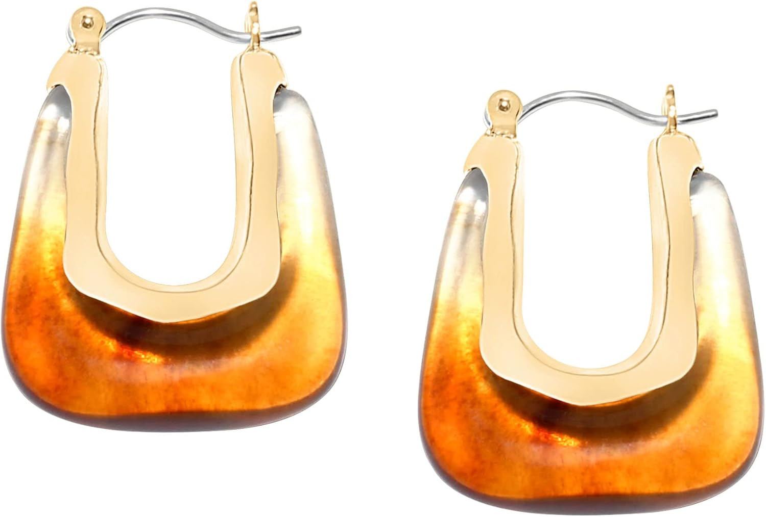 Bonaluna Ombre Twotone Circle Acrylic with Gold Metal Hoop Earrings for Women | Amazon (US)