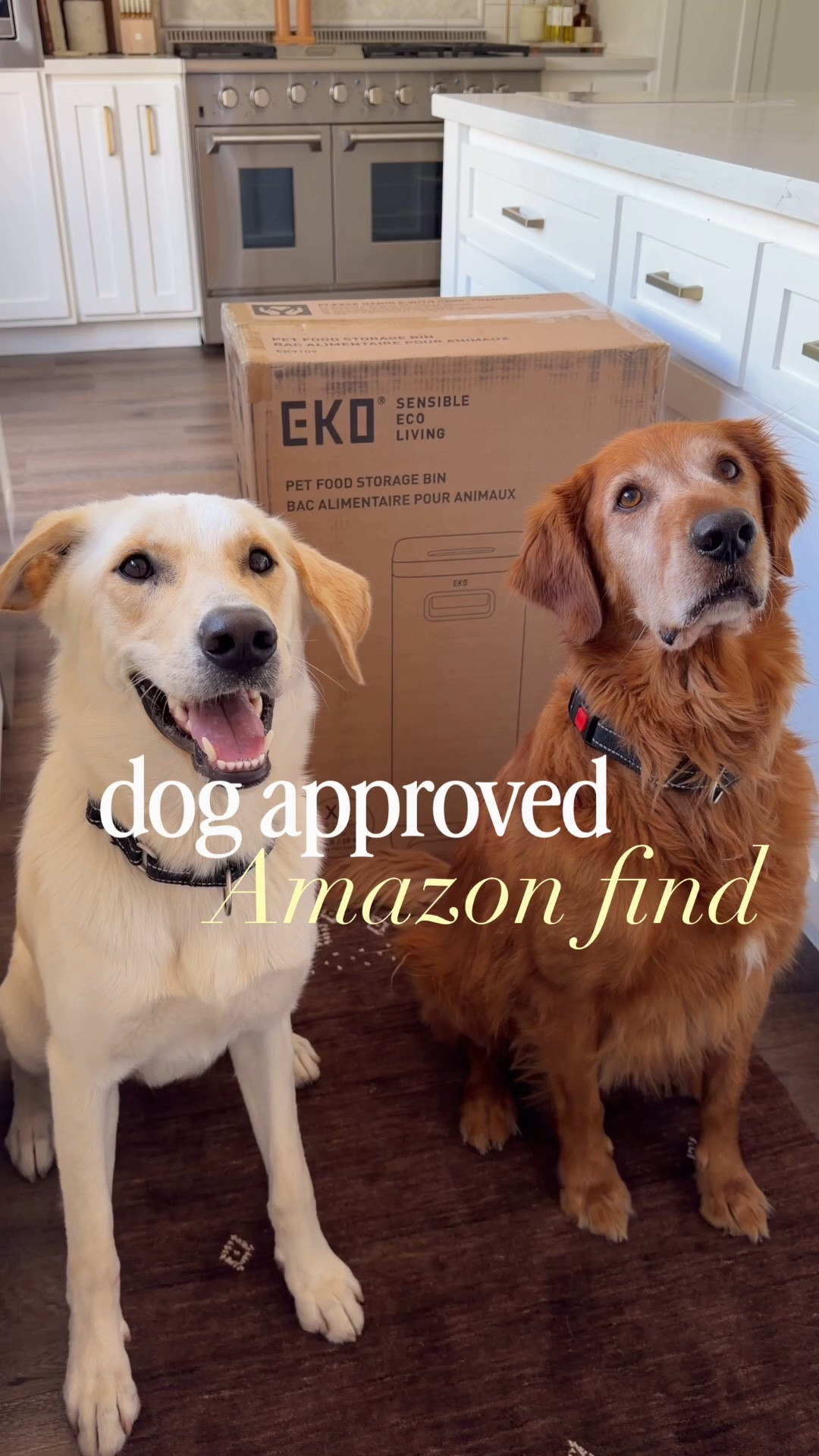Modern & chic dog food container from @amazon