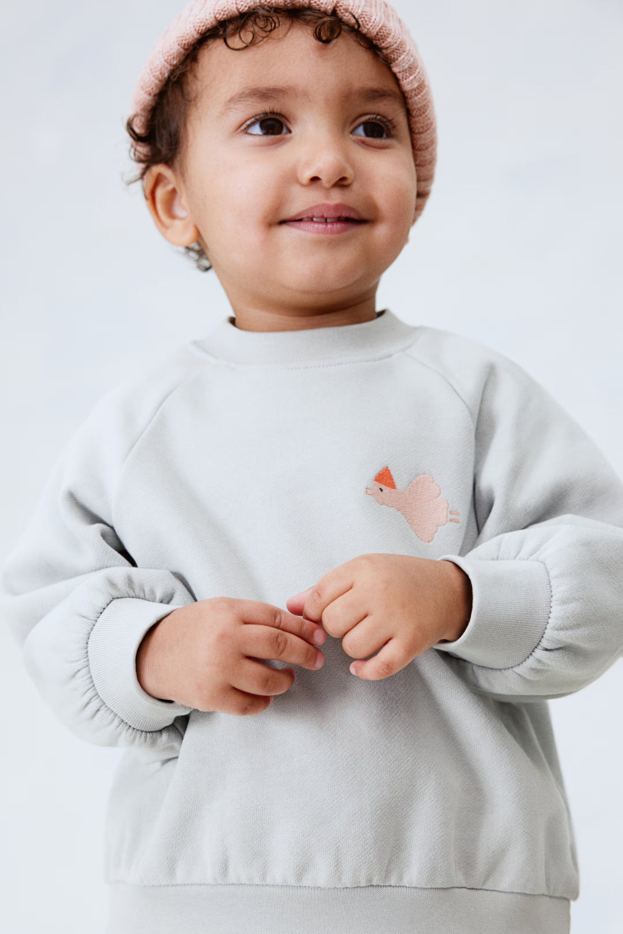 Embroidery-Detail Cotton Sweatshirt | H&M (US + CA)