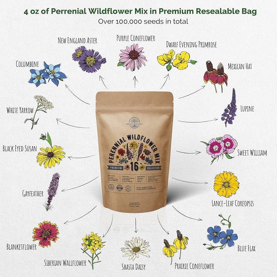 Amazon.com : Organo Republic 16 Perennial Wildflower Seeds Mix for Indoor & Outdoors. 100,000+ No... | Amazon (US)