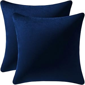 DEZENE Couch Pillow Cases 18x18 Navy: 2 Pack Cozy Soft Velvet Square Throw Pillow Covers for Farm... | Amazon (US)