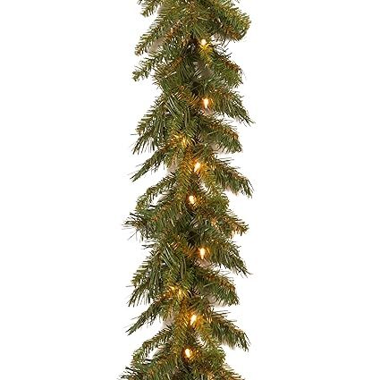 National Tree 9 Foot by 10 Inch Tiffany Fir Garland with 50 Clear Lights (TF-9ALO-1) | Amazon (US)
