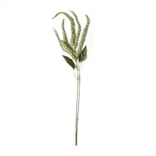 Green Amaranthus Stem by Ashland® | Michaels | Michaels Stores
