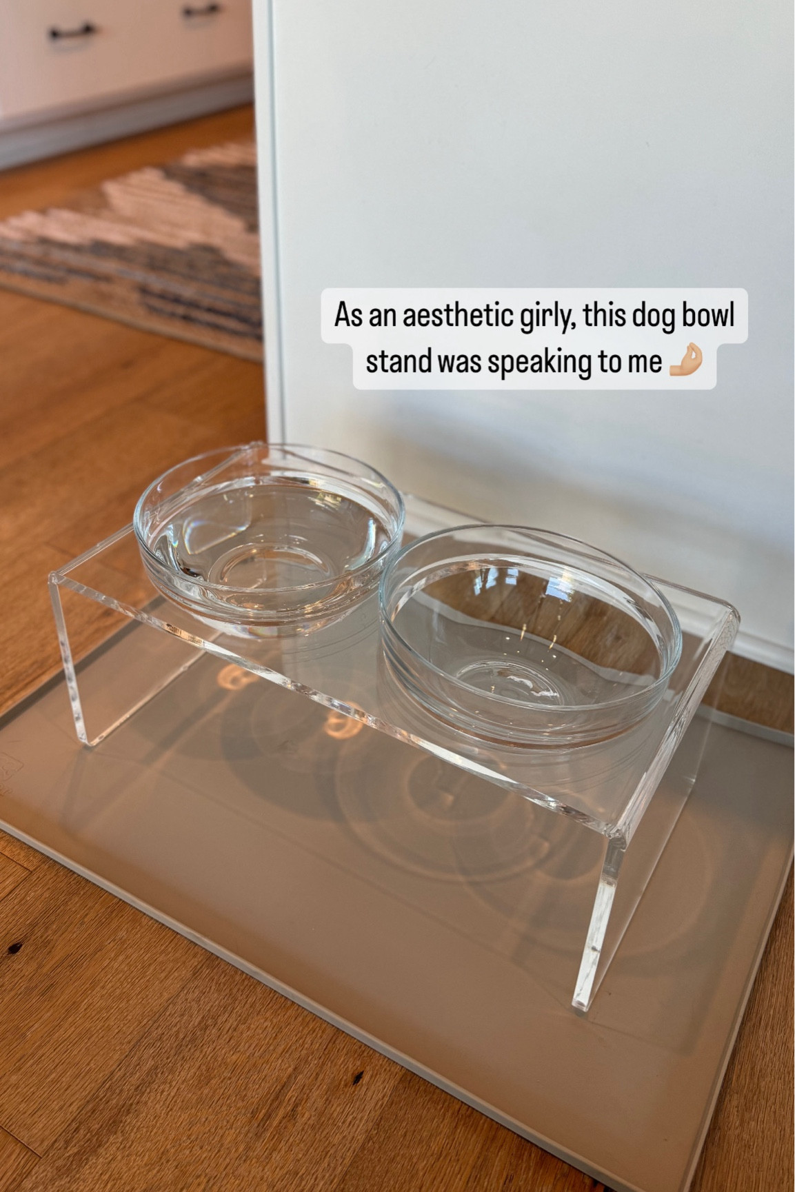 Aesthetic home decor
Acrylic dog bowl
Dog accessories 
Gifts for the home
Gifts for the pet 

#LTKGiftGuide #LTKFamily #LTKHome