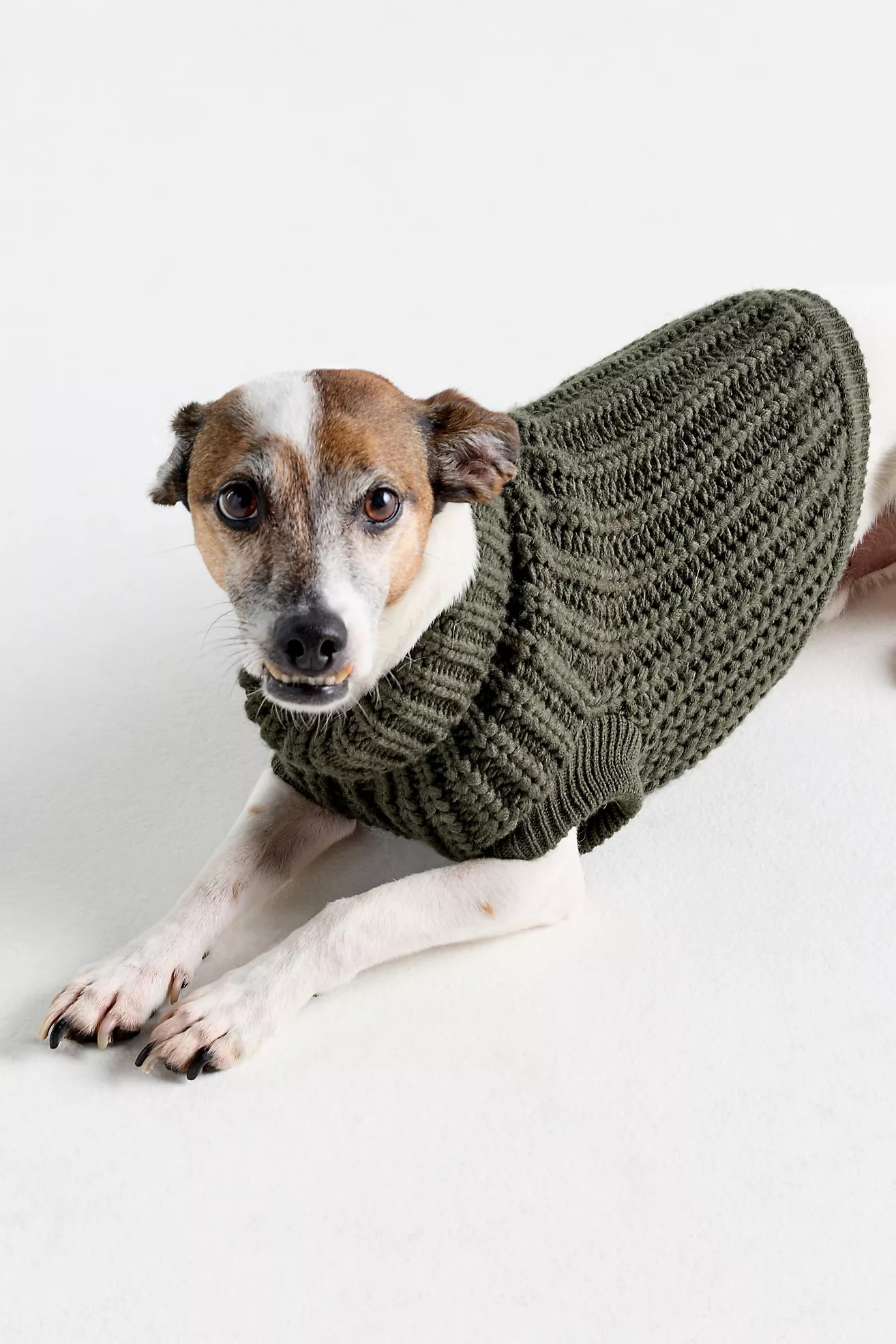 Barbour Saltburn Dog Jumper | Anthropologie (US)