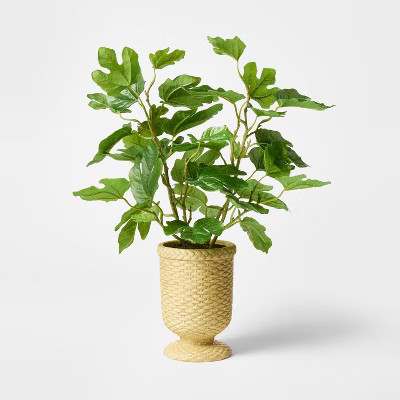 Fig Leaf Arrangement - Threshold™ designed with Studio McGee | Target