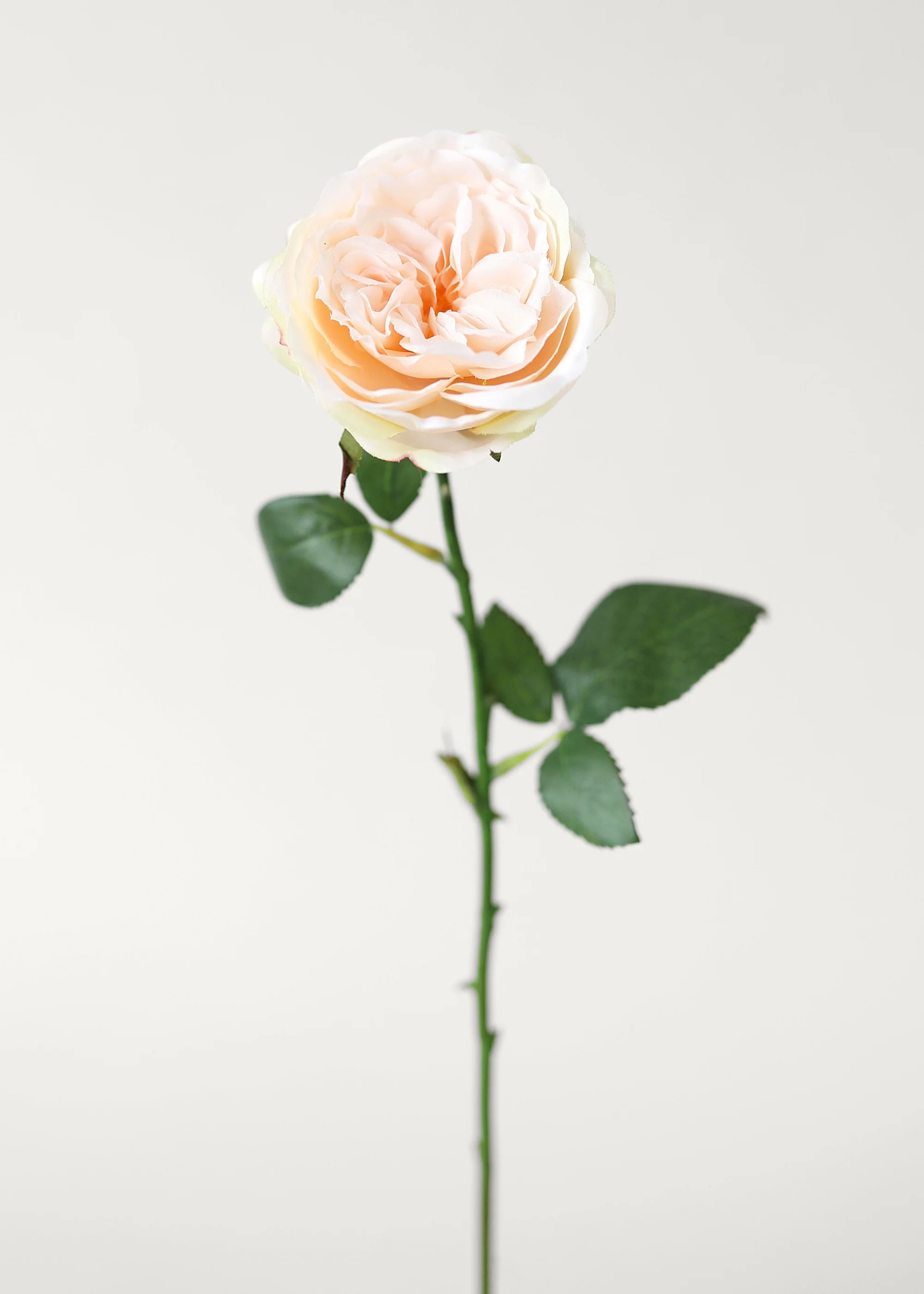 Fake English Cabbage Rose in Pink Apricot - 20.5" | Afloral