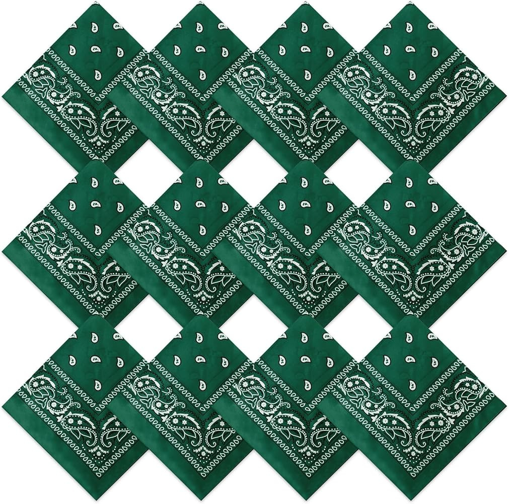 Suhine 12 Pcs Bandanas Bulk for Women Men 22 x 22 Inch Paisley Headband Cowboy Handkerchief Summe... | Amazon (US)