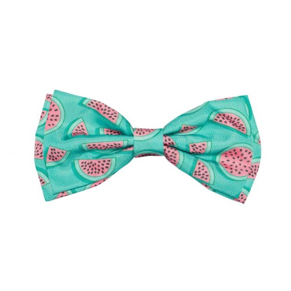 Dog Bowtie Summer Punch Size Large by FuzzYard | House