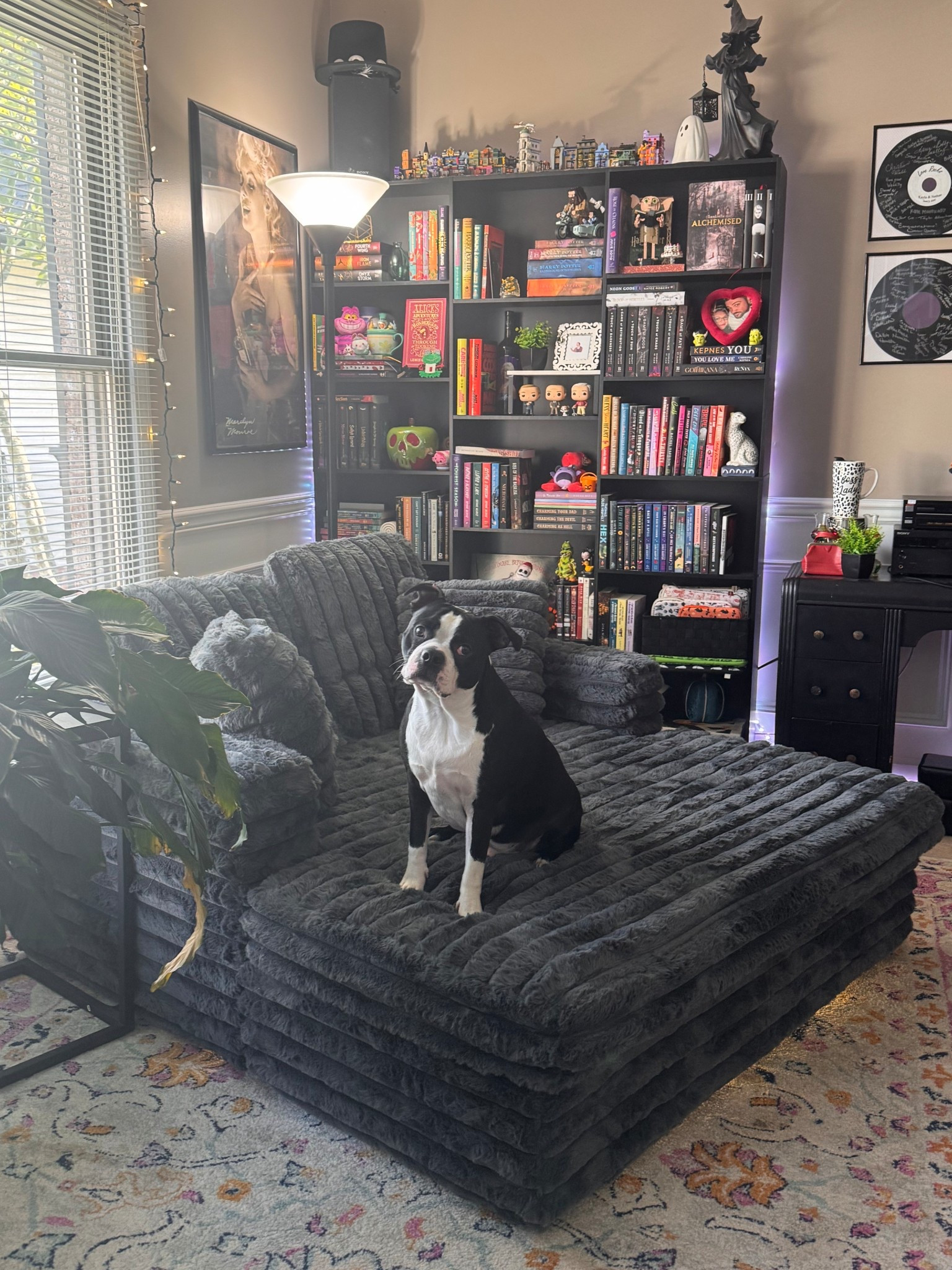 The new reading chair got delivered today and it’s amazing! 

#LTKStyleTip #LTKHome #LTKFallSale