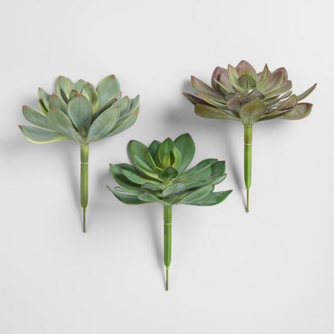 Large Faux Succulent Picks Set of 3
							var ensTmplname="Large Faux Succulent Picks Set of 3";... | World Market