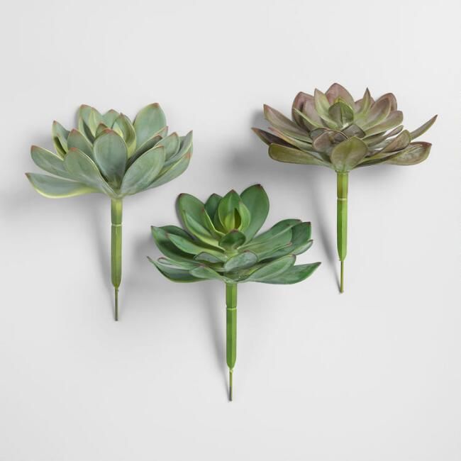 Large Faux Succulent Picks Set of 3 | World Market