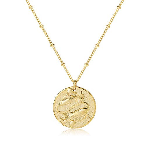 Zodiac Coin Embossed Choker Necklace Disc 12 Constellation Astrology Horoscope 14K Gold Plated Ro... | Amazon (US)