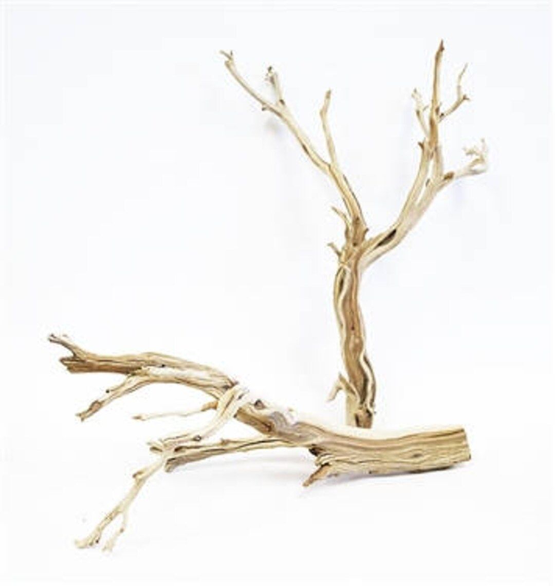 Sandblasted Ghostwood california Driftwood 18 1 - Etsy | Etsy (US)
