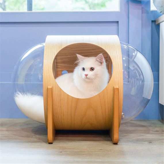 Floor-mounted Space Capsule Cat Bed Cat Tree Pet Furniture | Etsy | Etsy (US)