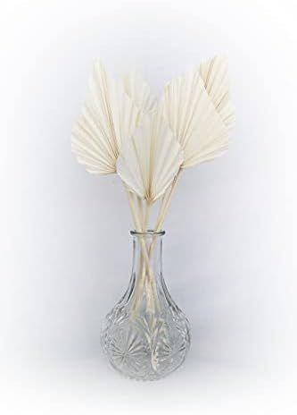 Boho City Blooms Bleached Dried Palm Spears | 5 pcs 14-18 in Premium Dried Palm Fans | Boho Decor... | Amazon (US)