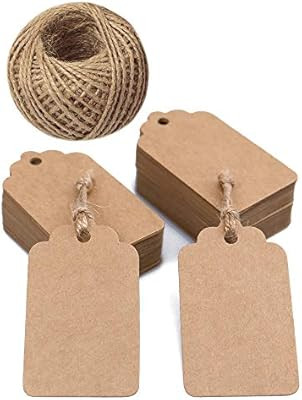 Small Tags,100 PCS 7 x 4 cm Brown Kraft Paper Tags Gift Tags,Rectangular Kraft Hang Tags with 100... | Amazon (US)