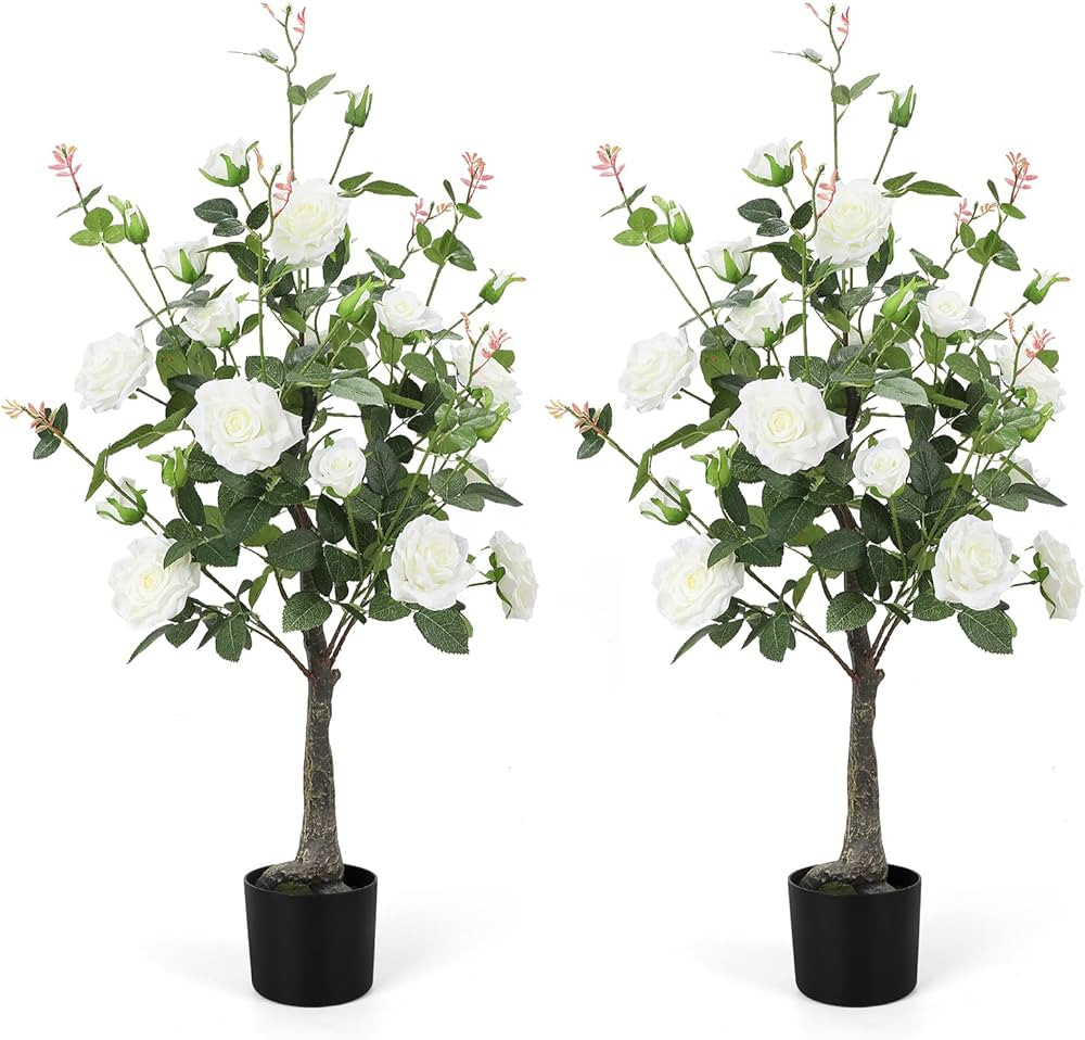 Romantic season | Amazon (US)