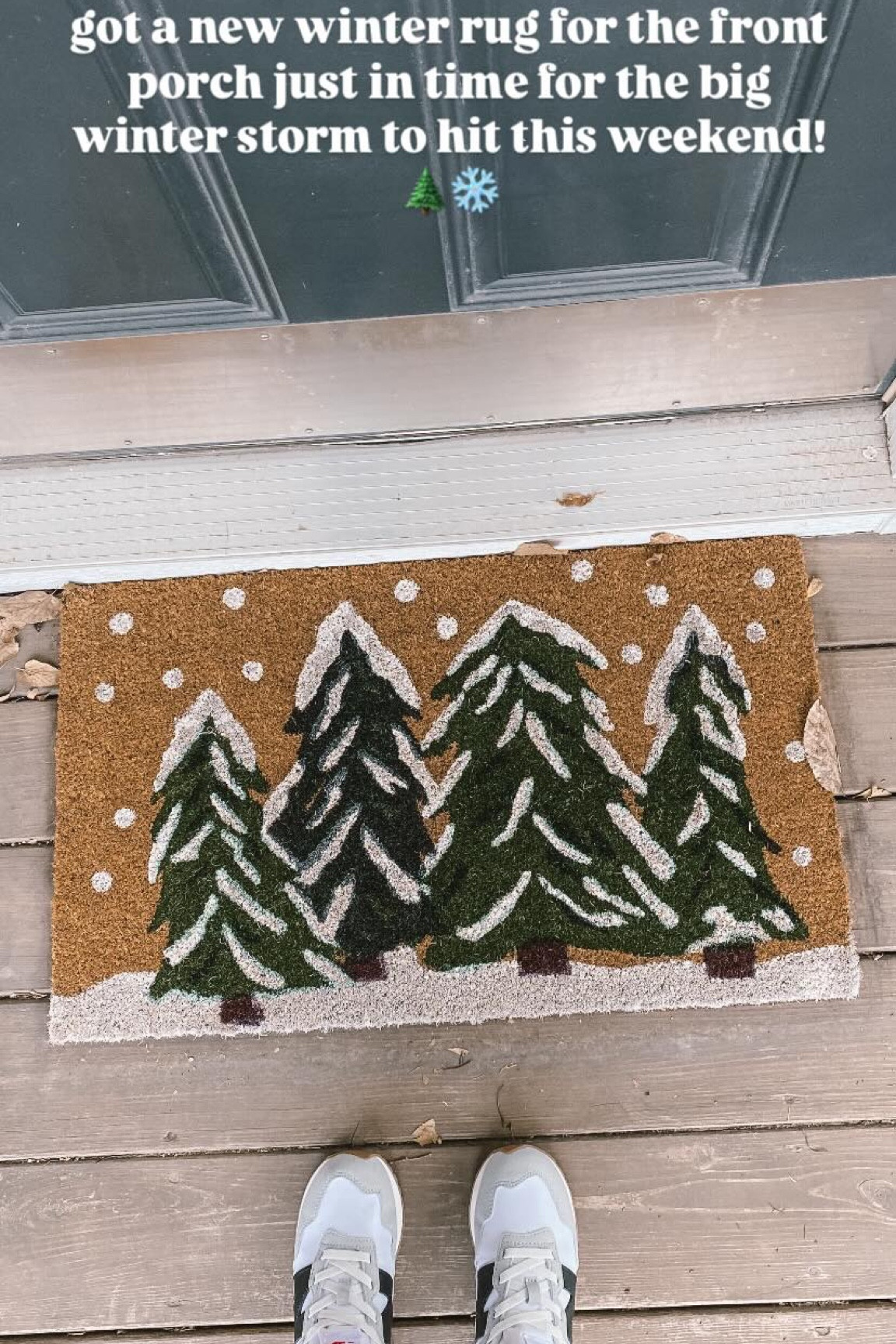 got a new winter rug for the front porch just in time for the big winter storm to hit this weekend! 🌲❄️