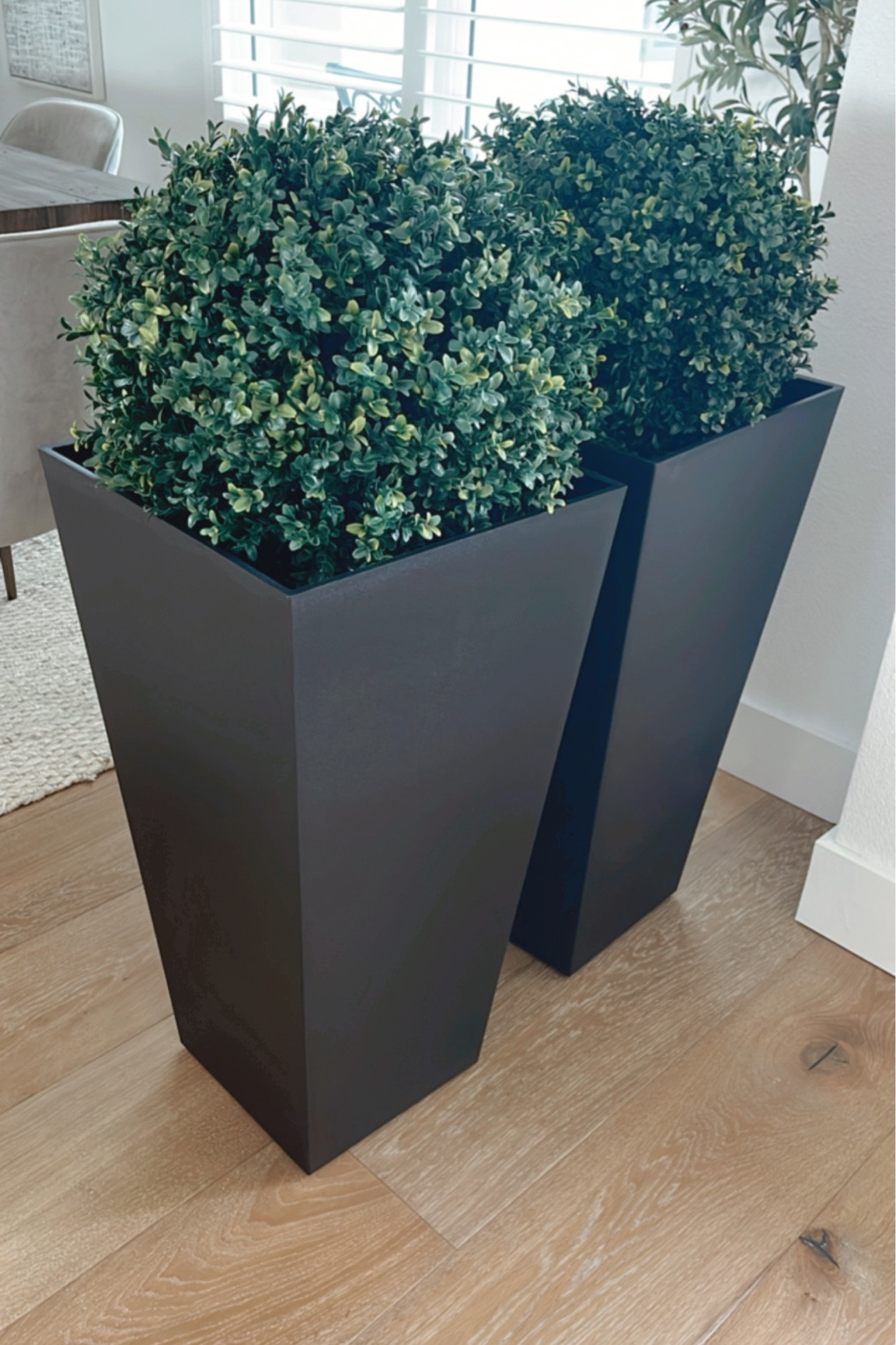 Planters and boxwood for front porch

#LTKSeasonal #LTKstyletip #LTKhome