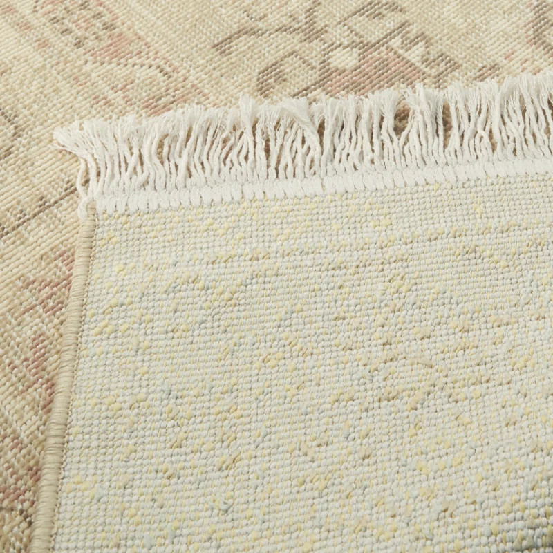 Wellington Oriental Area Rug in Pink/Beige | Wayfair North America