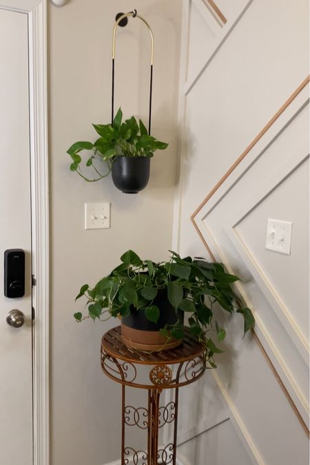 Amazon hanging wall planters and plant stand planter.  Black and tan home decor- the wall hanging planter is gold and black#LTKFind

#LTKhome #LTKSeasonal