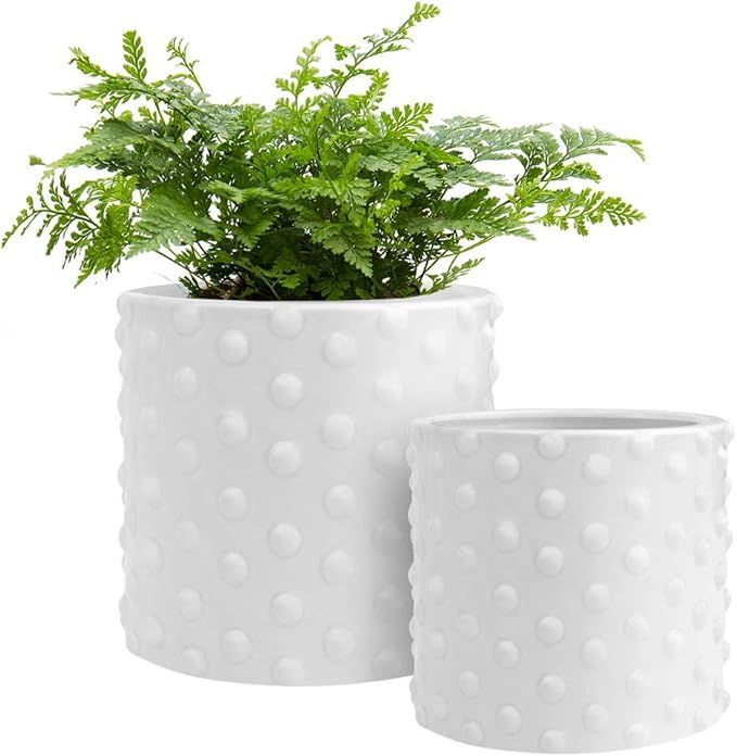 GrowLED Ceramic Pots for Plants with Drainage, Vintage Hobnail Patterned, 6 Inch & 5 Inch Plant P... | Amazon (US)