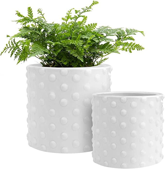 GrowLED Ceramic Pots for Plants with Drainage, Vintage Hobnail Patterned, 6 Inch & 5 Inch Plant P... | Amazon (US)