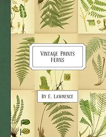 Vintage Prints: Ferns | Amazon (US)