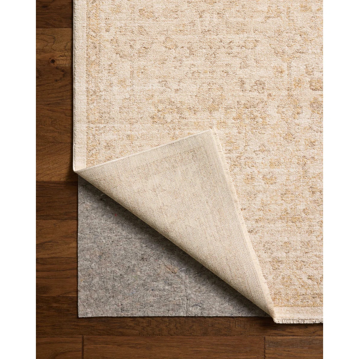 Chris Loves Julia x Loloi Palma Ivory / Sand Area Rug | Wayfair North America