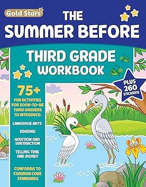 The Summer Before Third Grade Workbook School Bridging Second to Third Grade Ages 8 - 9: 75+ Acti... | Amazon (US)