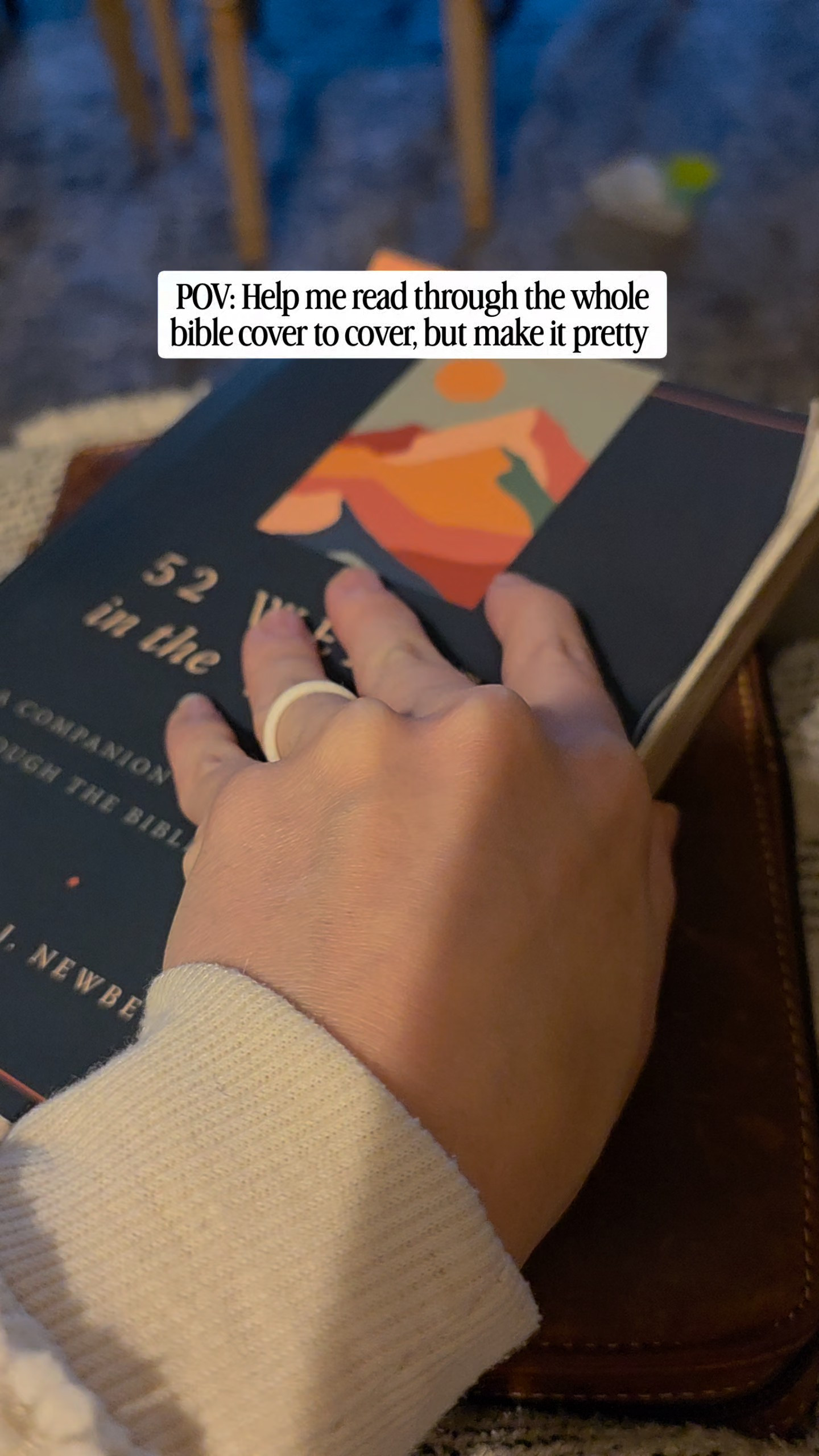 Do you have the goal to read through the bible, but need a little help? This book takes you through the whole thing - cover to cover - with just a few chapters a day. And bonus is that it is pretty!  

 