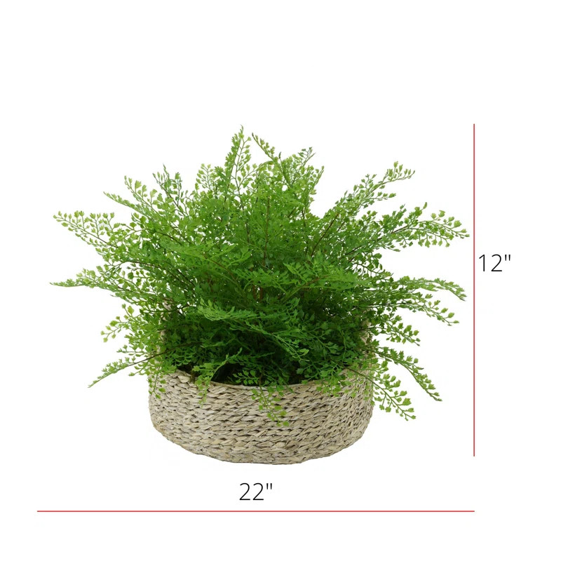 Faux Maidenhair Fern Plant in Basket | Wayfair Professional