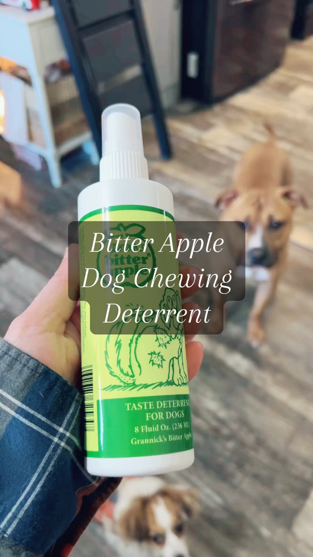 Bitter Apple No Chew Spray
Buddy is a chewer, but with this spray he has completely stopped
chewing on anything I use it on.
Grab Yours Here: https://amzn.to/40cNnXM

#bitterapplespray #dogchews #baddog #baddogshit #rescuedogs
#rescuedanimals #dogsarefamily #dogsarethebest #dogsaregreat
#dogsareawesome #dogtraining #CommissionEarned

#LTKWatchNow #LTKHome