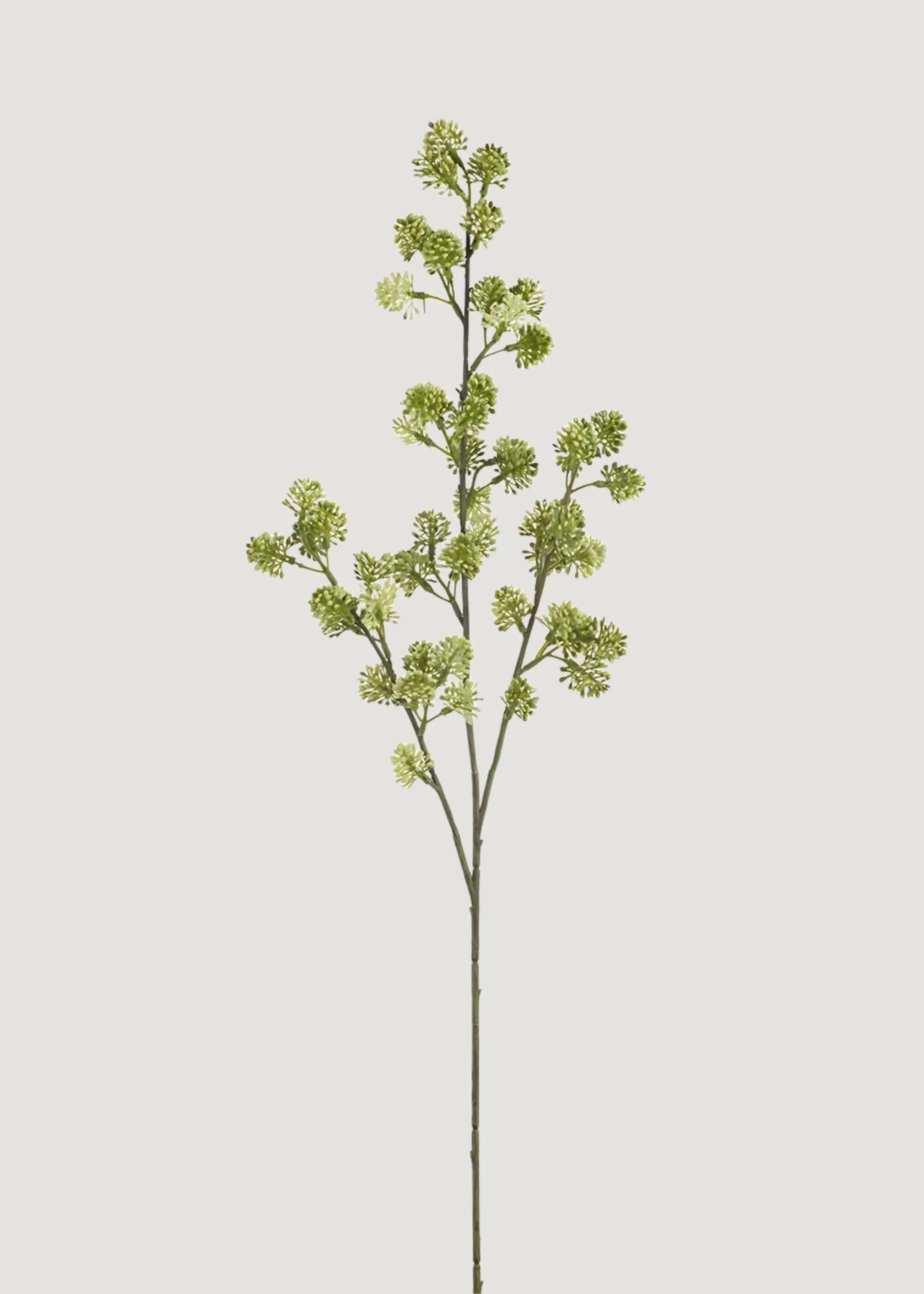 Artificial Sedum Succulent Branch in Green Cream - 28" | Afloral
