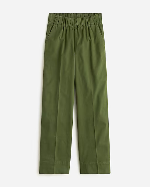 Astrid chino pant | J. Crew US