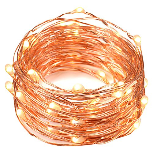 String Lights, Oak Leaf 2 Set of Micro 30 LEDs Super Bright Warm White Led Rope Lights Battery Opera | Amazon (US)