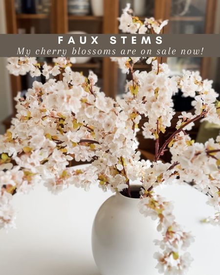 I have been on the hunt for the perfect faux cherry blossom stems because I love the look and texture that they bring into a space. These stems come in a pack of three, and I ordered two sets for a more full look.🌸

Amazon Finds, Spring Decor, Cherry Blossom Stems, Amazon Florals, Faux Greenery, raditional home decor, classic home decor, bedroom styling, living room styling, dining room styling, kitchen styling, home decor find, home decor inspiration, interior design, budget finds, organization tips, beautiful spaces, home hacks, shoppable inspiration, curated styling, living room decor, living room inspiration, Amazon home must have



#LTKHome #LTKStyleTip #LTKSeasonal