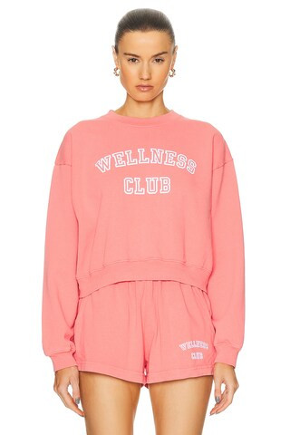 Sporty & Rich Wellness Club Flocked Cropped Crewneck Sweater in Dahlia | FWRD | FWRD 