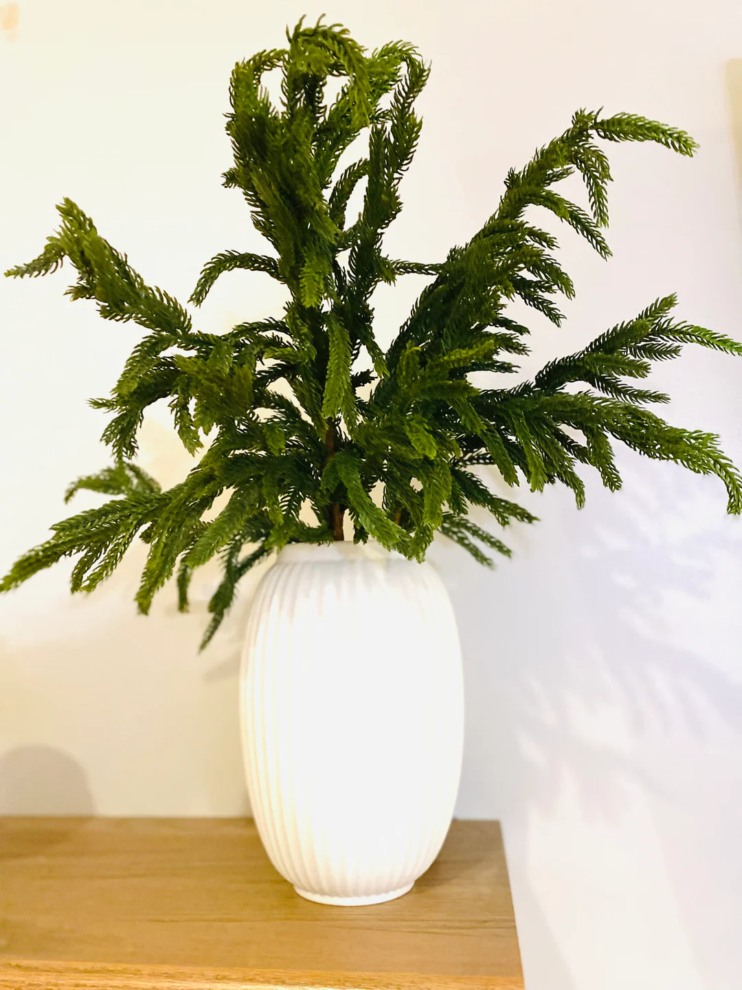 Artificial Real Touch 24” Norfolk Pine Stems - Bundle of 3 | Journey Decor