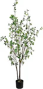 Vickerman Everyday 72" Indoor Potted Baby Leaf Tree. Black Plastic Pot - Faux Indoor Greenery Dec... | Amazon (US)
