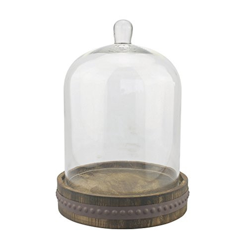 Stonebriar 9 Inch Clear Glass Dome Cloche with Rustic Wooden Base, Antique Bell Jar Display Dome, Fo | Amazon (US)