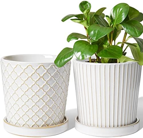 Amazon.com: LE TAUCI Ceramic Plant Pots, 5.4 Inch Embossed Indoor Flower Pot with Drainage Hole a... | Amazon (US)