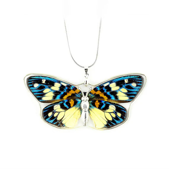Real Butterfly Necklace | Etsy (US)