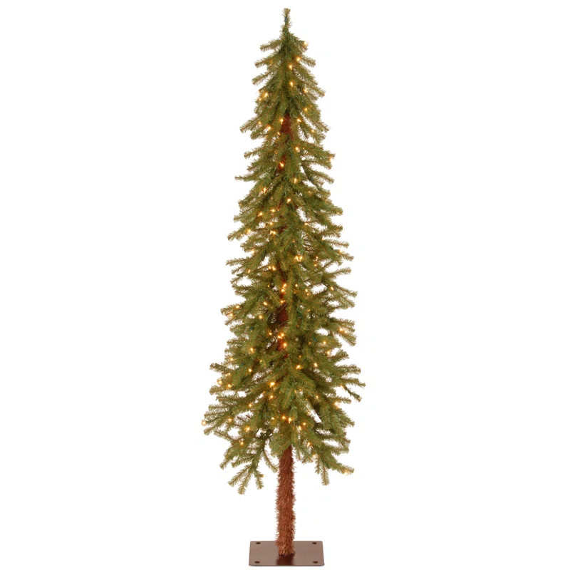 Hickory Cedar Tree | Wayfair North America