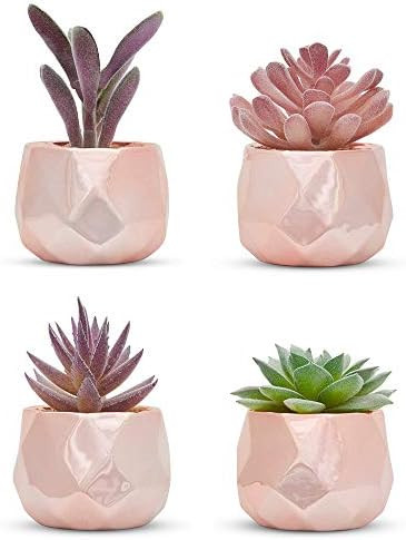 Nordik Set of 4 Desk Plants in Rose Gold - Office Decor for Women, Indoor, Living Room, Bedroom, ... | Amazon (US)
