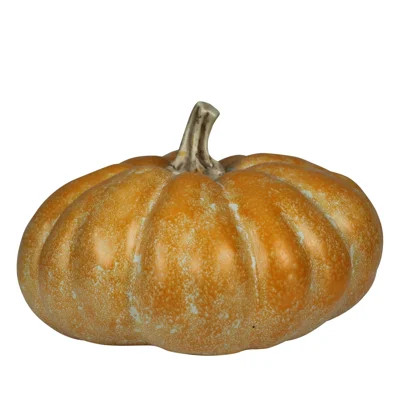 Pumpkin, Ceramic, - Lrg | Wayfair North America